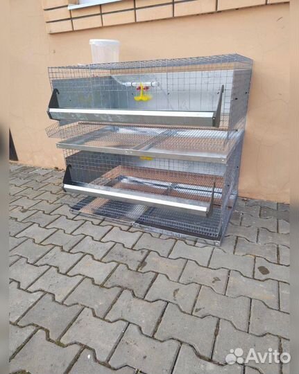 Клетка для 20 кур несушек