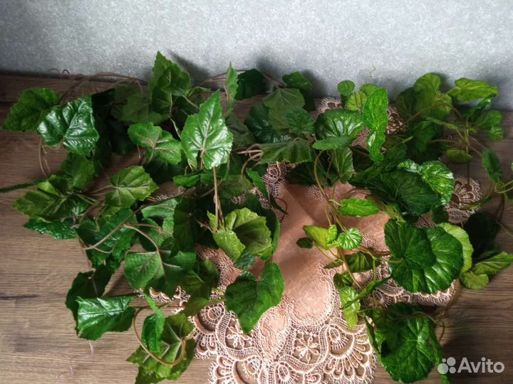 Цветок зелень