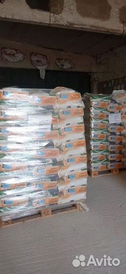 Семена подсолнечника оптом