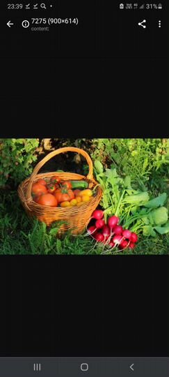 Участок 20 сот. (СНТ, ДНП)