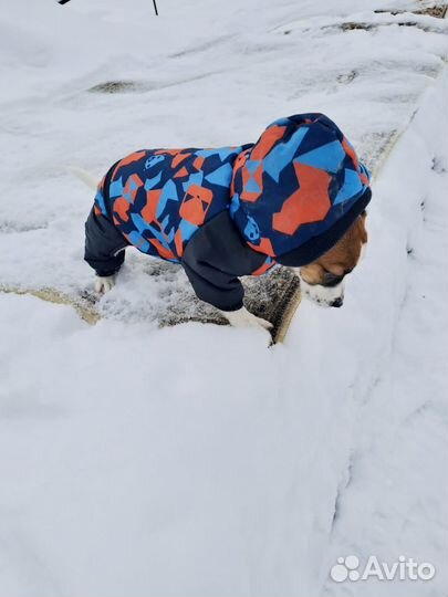 Комбинезон для собак Зима 24 см спина