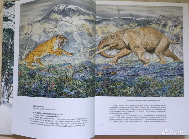 Тигр. рис. Павлишин