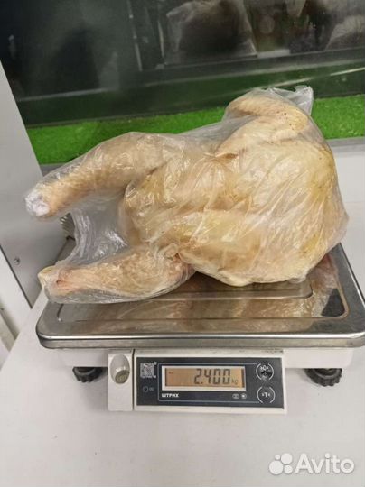 Мясо кур и индюшки