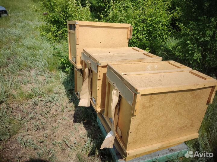 Рамки для ульев дадан