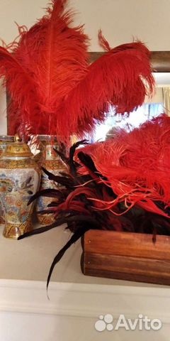 Перо страуса цветное