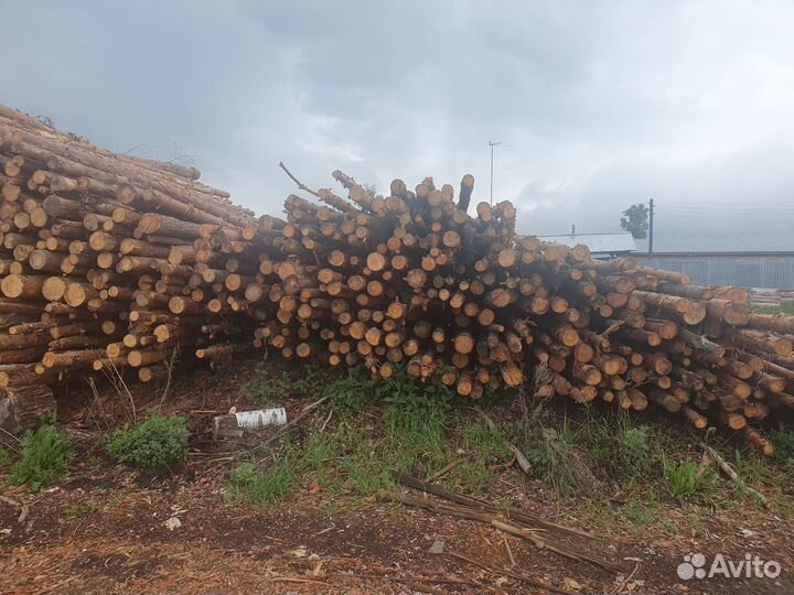 Дрова хвойные