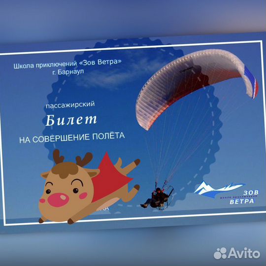 Прогулочный билет на параплане