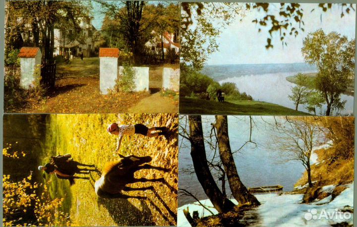 Музей-усадьба Поленово 10 открыток