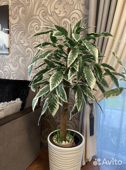 Искуственное дерево