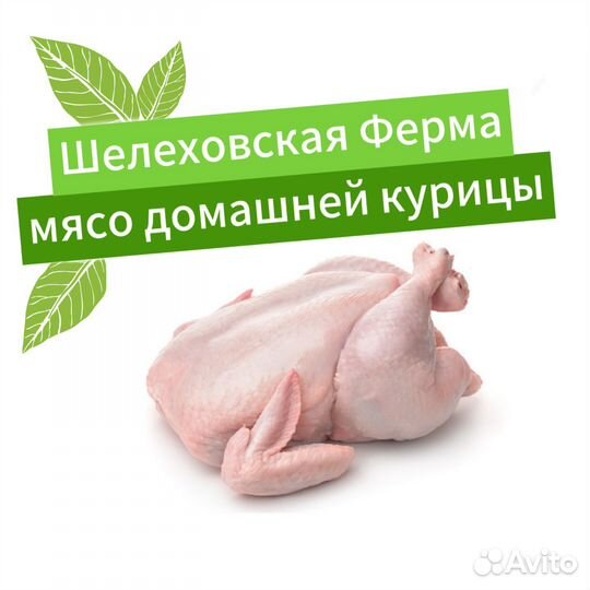 Мясо домашней курицы