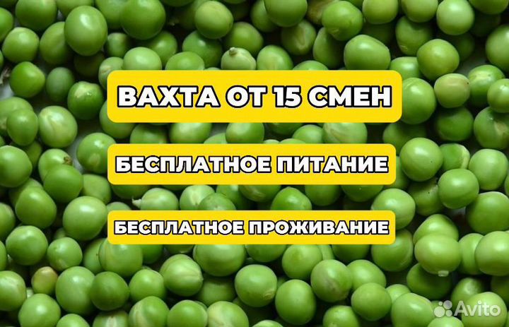 Без опыта/Упаковщик(ца)