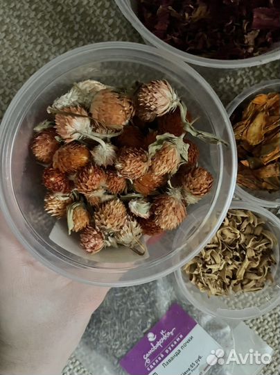 Цветы сухоцветы