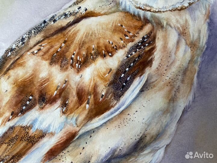 Картина акварелью «Зимняя сипуха»