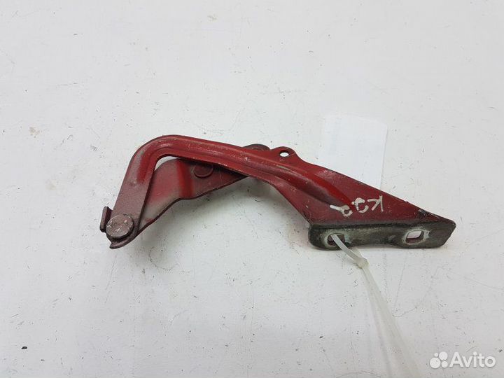 Петля капота левая Ford Focus