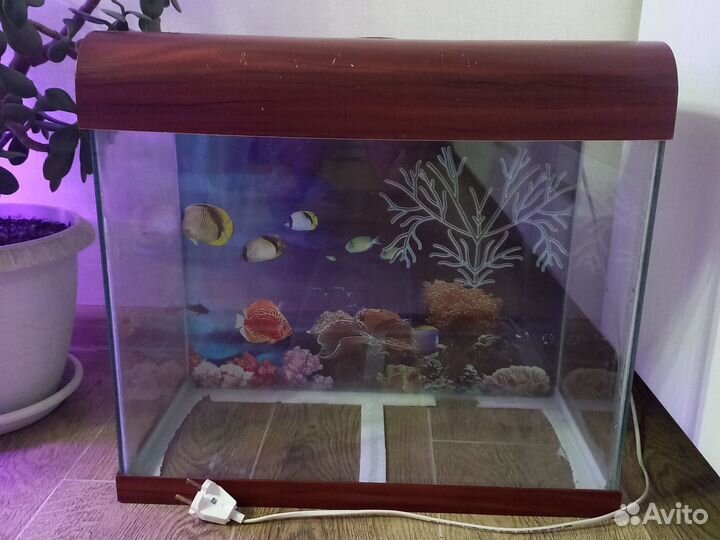 Аквариум