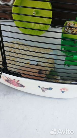 Клетка для хомяка большая вместе с хомяком