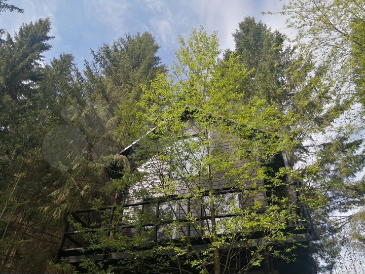 Дом 30 м² на участке 19 сот.