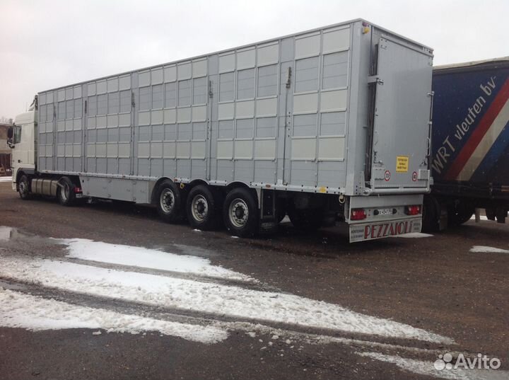 Перевозка скота крс Коров,Бык,Телят,Лошадь,Бараны