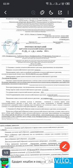 Семена кукурузы 