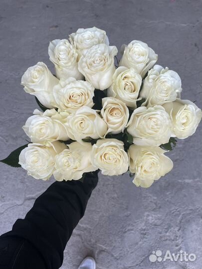 Роза эквадор оптом малые и большие букеты