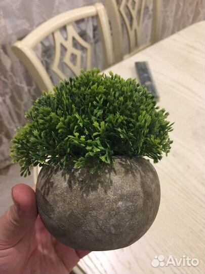 Предметы интерьера, Дизайнерские цветы в горшочке