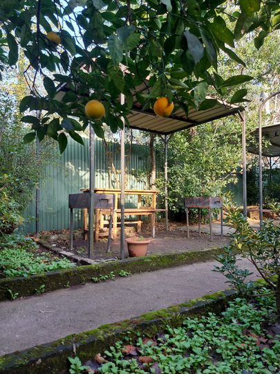 Гостиница 259 м² (Грузия)