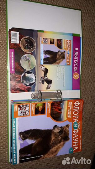 Коллекция журналов