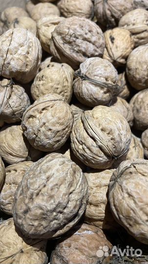 Грецкий орех