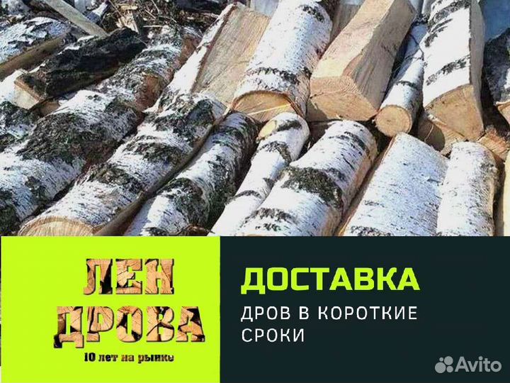 Дрова березовые
