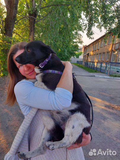 Ищу дом для Маси