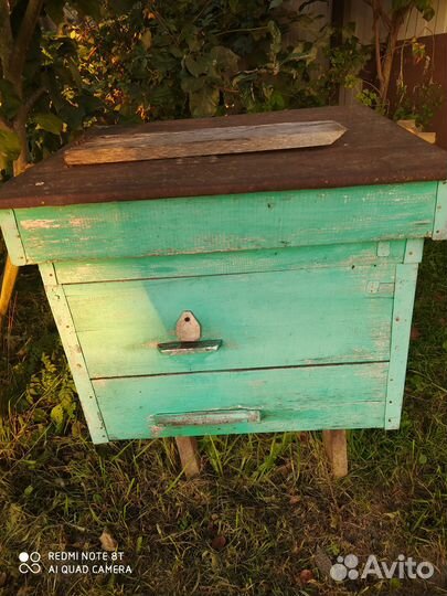 Ульи с пчелами