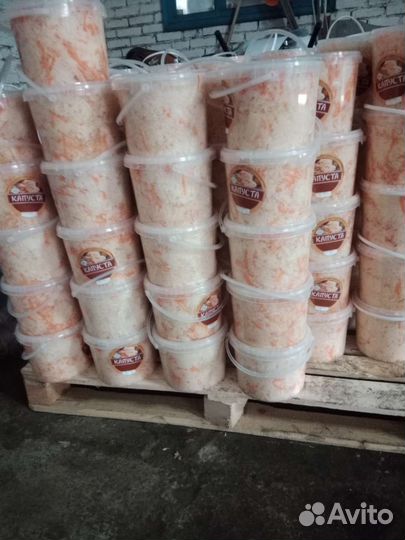 Соленья Рыба оптом