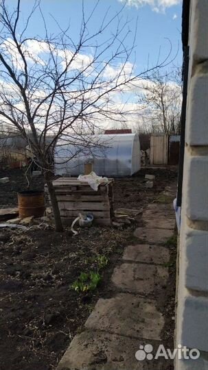 Теплица 3 на 8 из поликарбоната