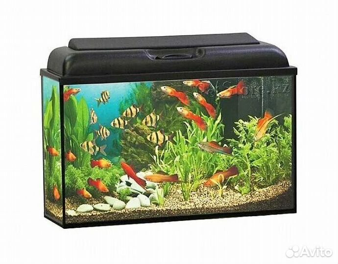 Аквариум