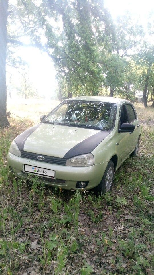 ВАЗ (LADA) Kalina: фото владельца