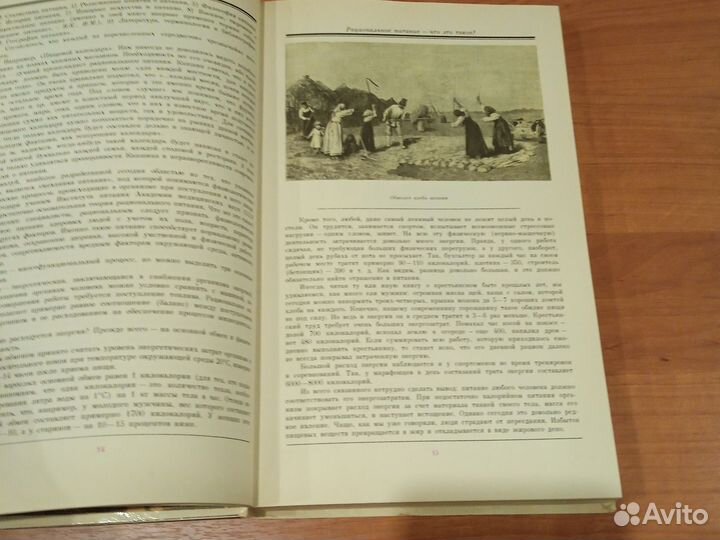 Русская кухня:Традиции и обычаи. В. Ковалев