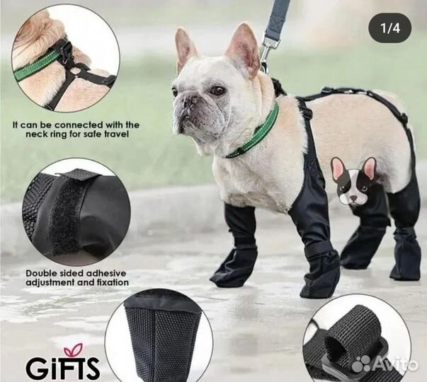 Товары для животных собак