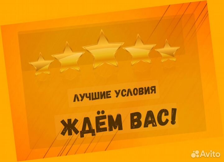 Сборщик заказов Выплаты еженедельно Без опыта М/Ж