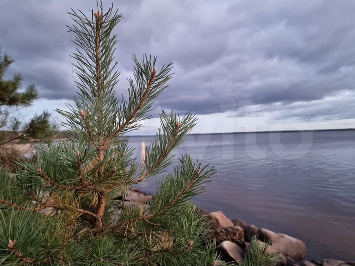 Участок 19 сот. (ИЖС)