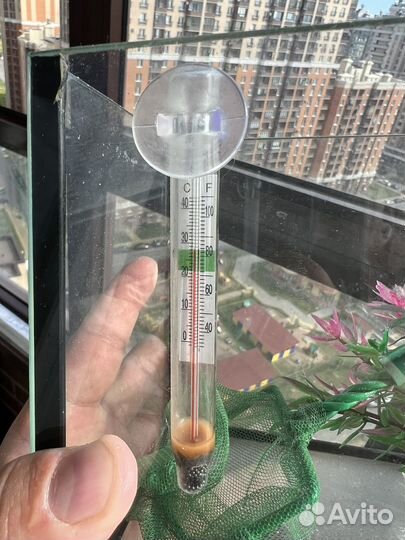 Аквариум маленький