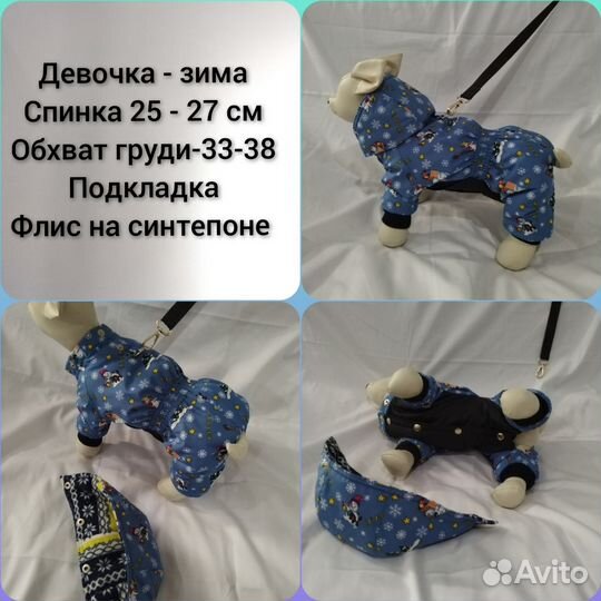 Одежда для собак