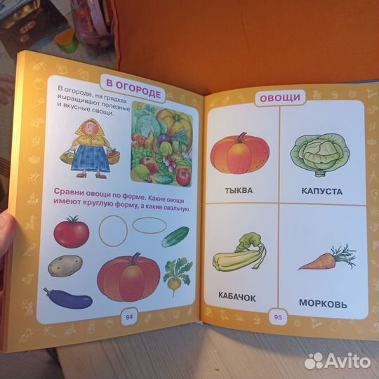 Олеся Жукова. Первый учебник малыша