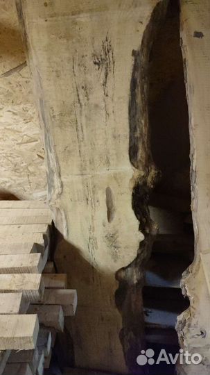 Карагач слэбы