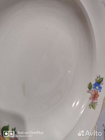 Столовый сервиз СССР зик