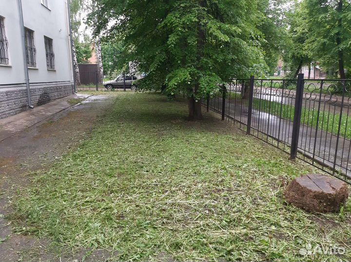 Покос травы