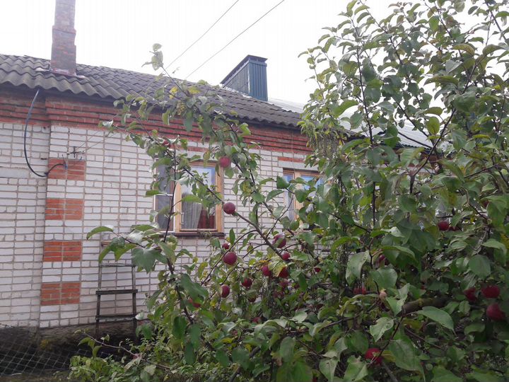 Дом 136 м² на участке 10 сот.