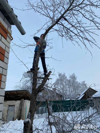 Разнорабочие