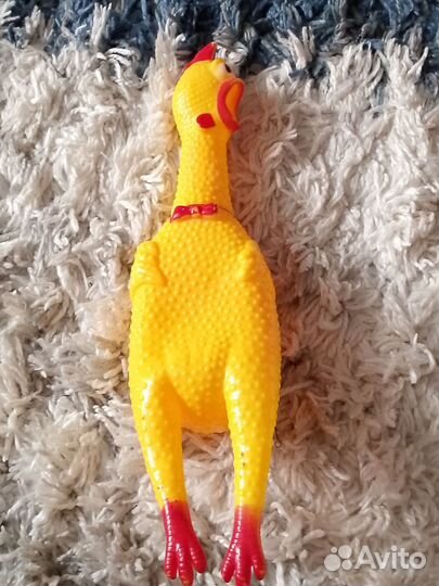 Мускусные утки тяжелые линии