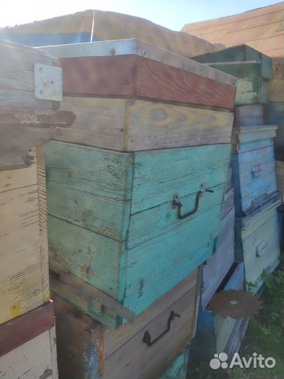 Улей для пчел