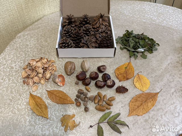 Природные материалы поделок шишки желуди/каштаны